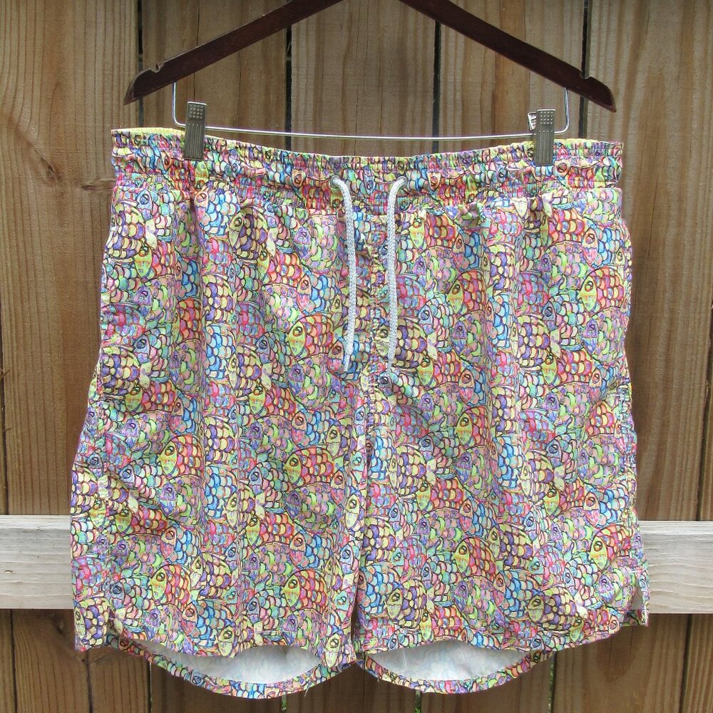 Michael's Men's Mesh Liner Swim Trunks Abstract Fish multicolored sz: 2xl